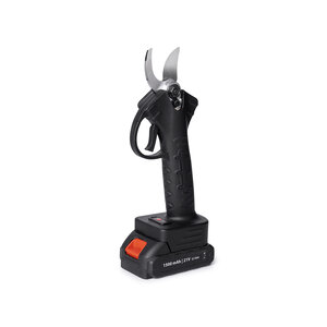 QLT No Less QLT Elektrische Snoeischaar op Accu – Takkenschaar met Opbergkoffer