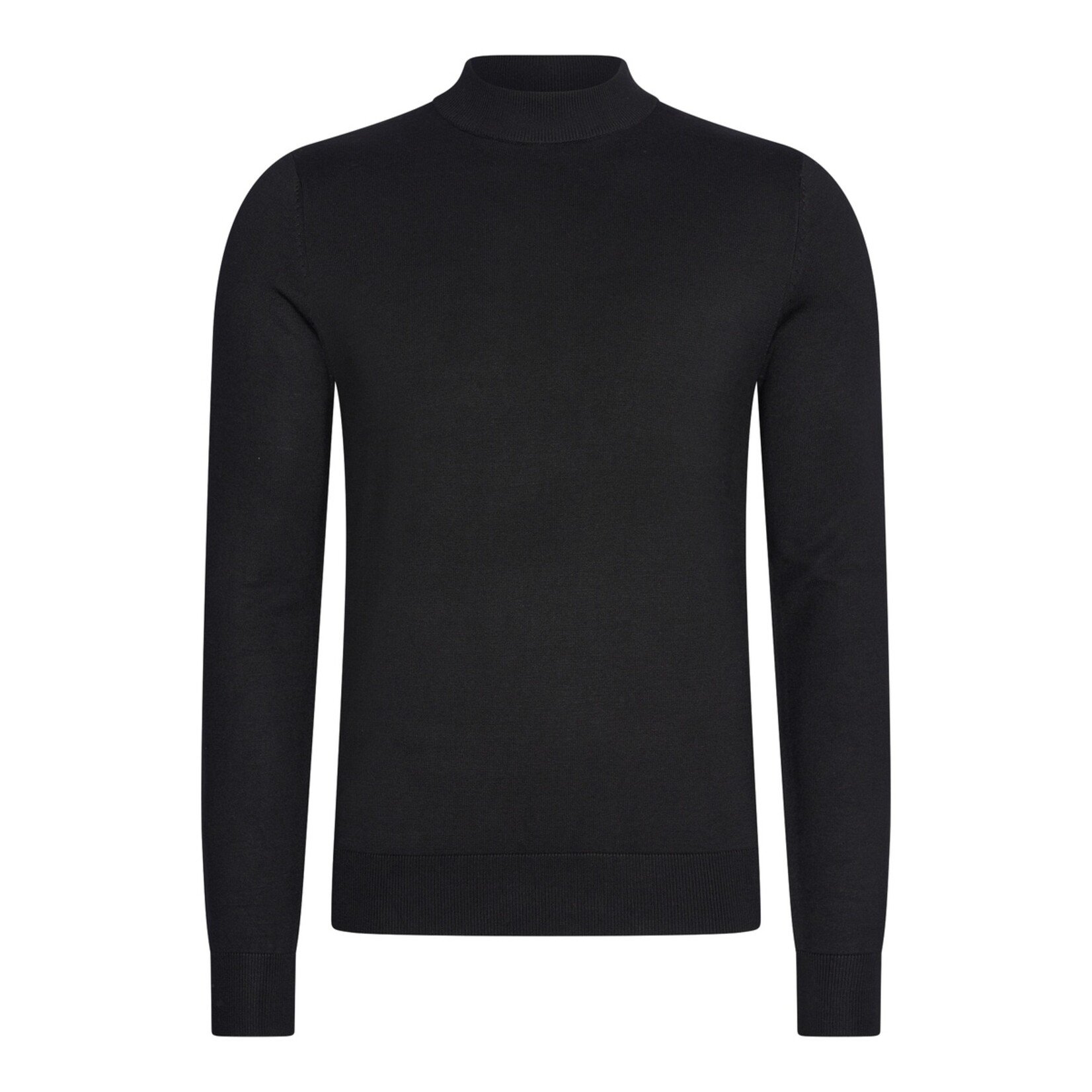 Mario Russo Mario Russo Turtle Neck Coltrui met Stretch