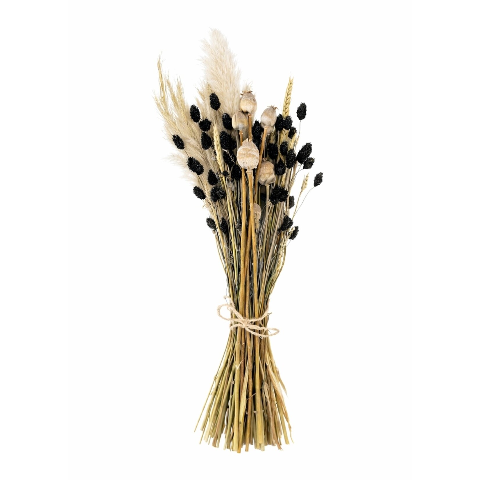 Merkloos Droogboeket met Pampasgras, Tarwe en Papavers 50-55 cm