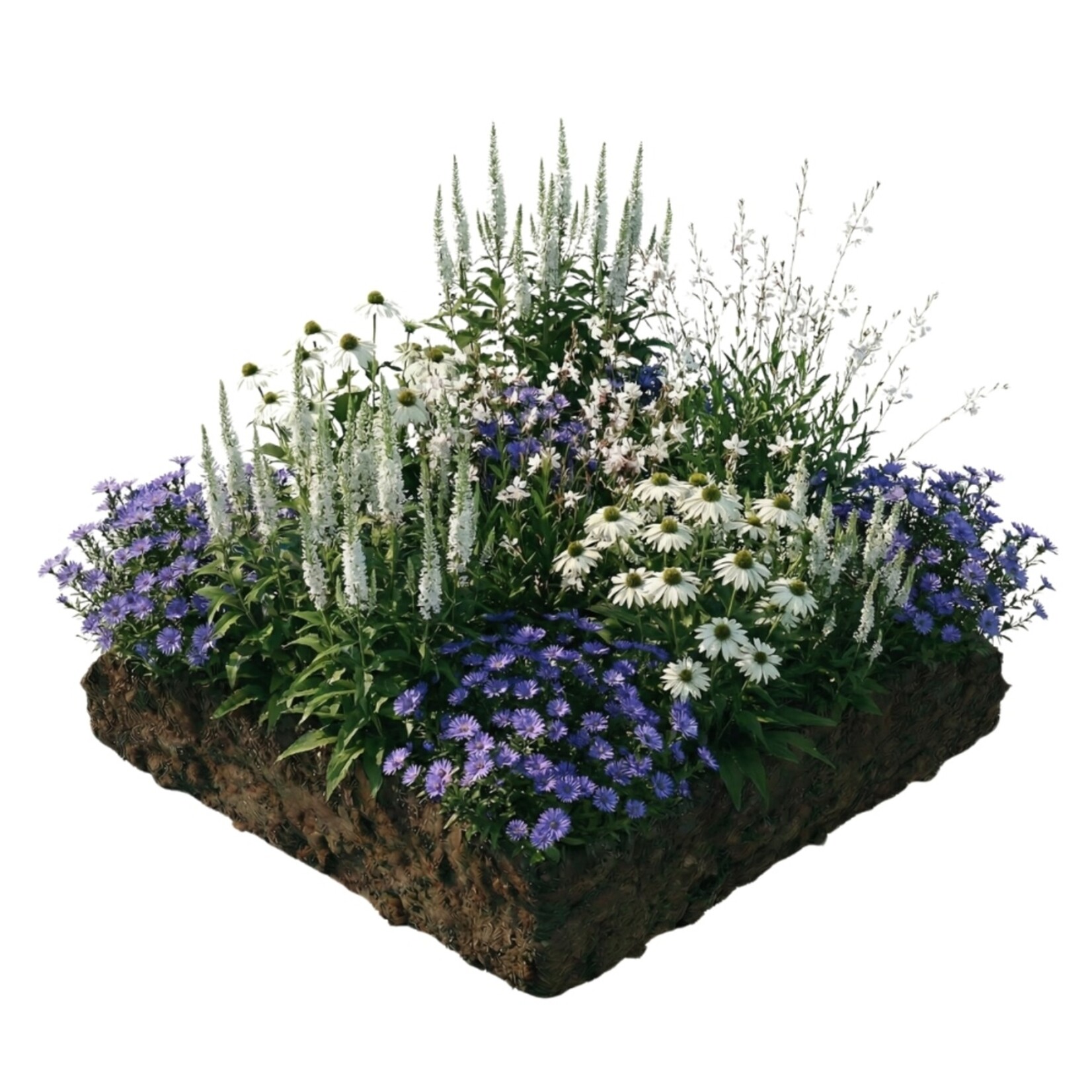 NatureNest Borderpakket Yara - Vaste Borderplanten Mix