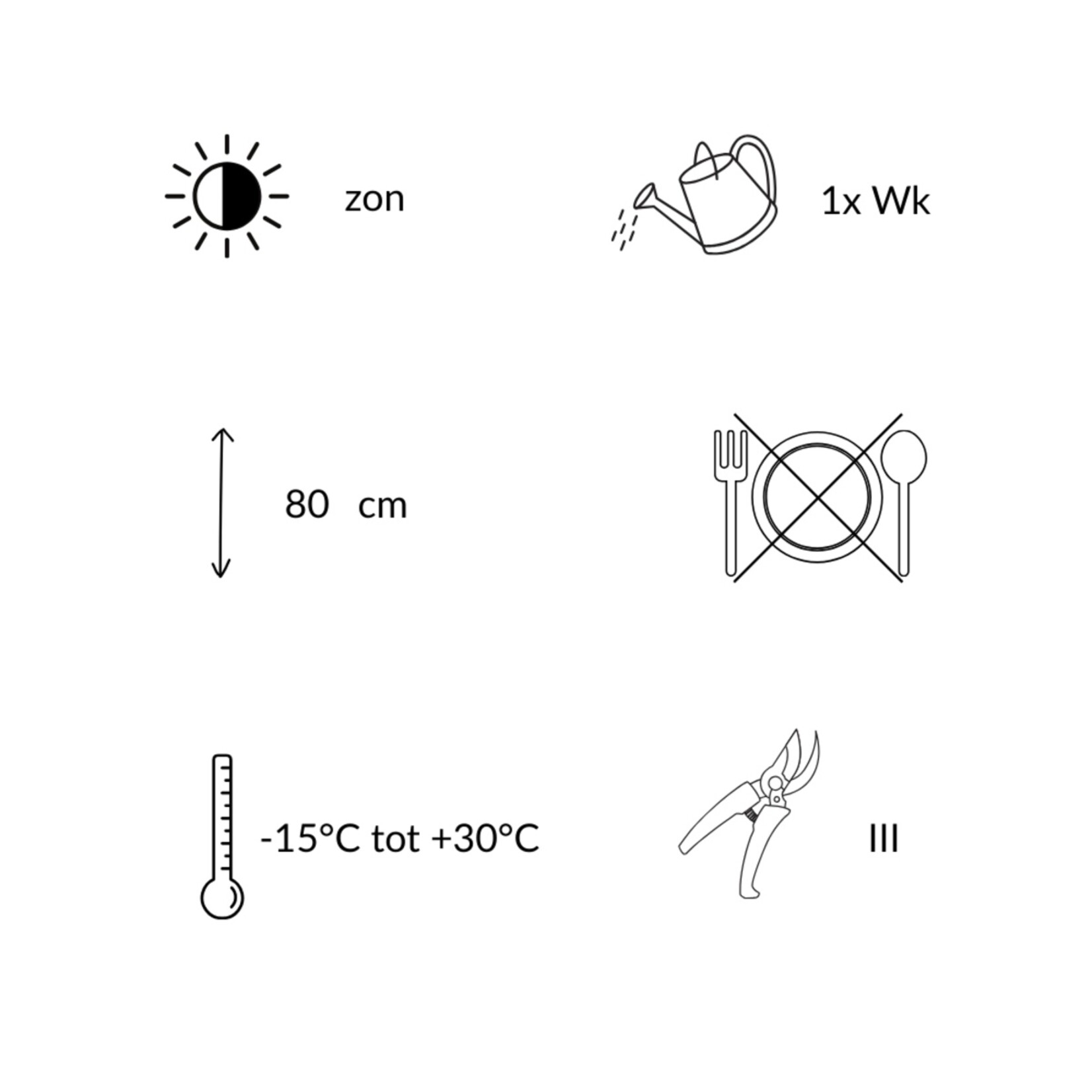 NatureNest Borderpakket Yara - Vaste Borderplanten Mix
