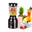 TurboTronic BG8 Blender met Glazen Kan & Fruitfilter - 1.5 liter