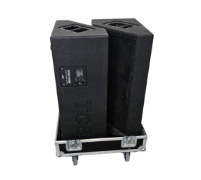 2X Speaker TCS  12''  inclusief kist  OCC.