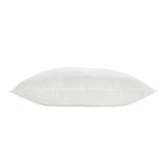Essix Oreiller 65 x 65 cm EVE 550g moelleux