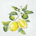 Ihr CITRON