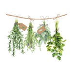 Ambiente Serviette en papier herbe fraîche