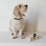 Andrée Jardin Brosse bain et massage pour chien