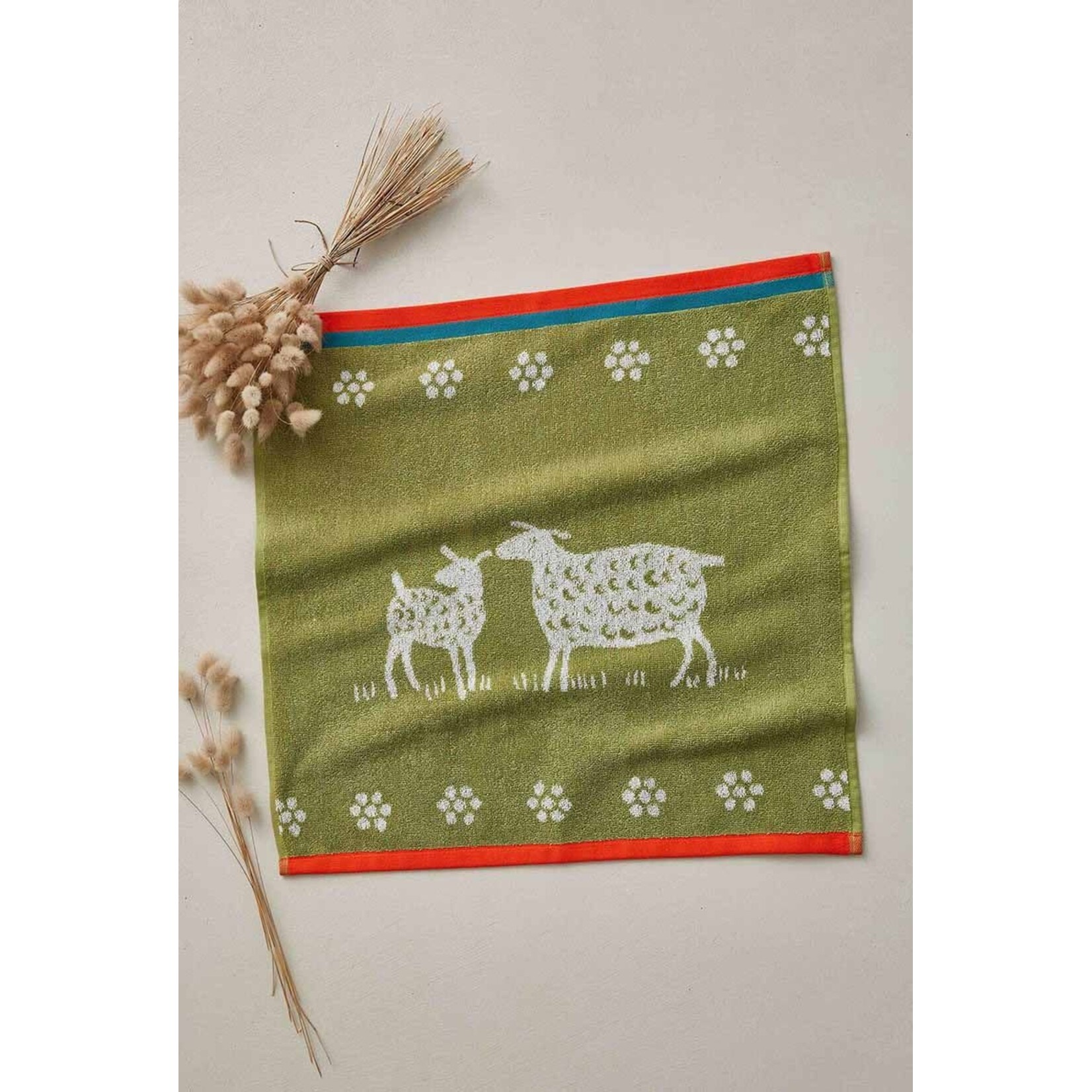 Coucke Carré éponge  MOUTON VERT 50 x 50 cm 100% coton