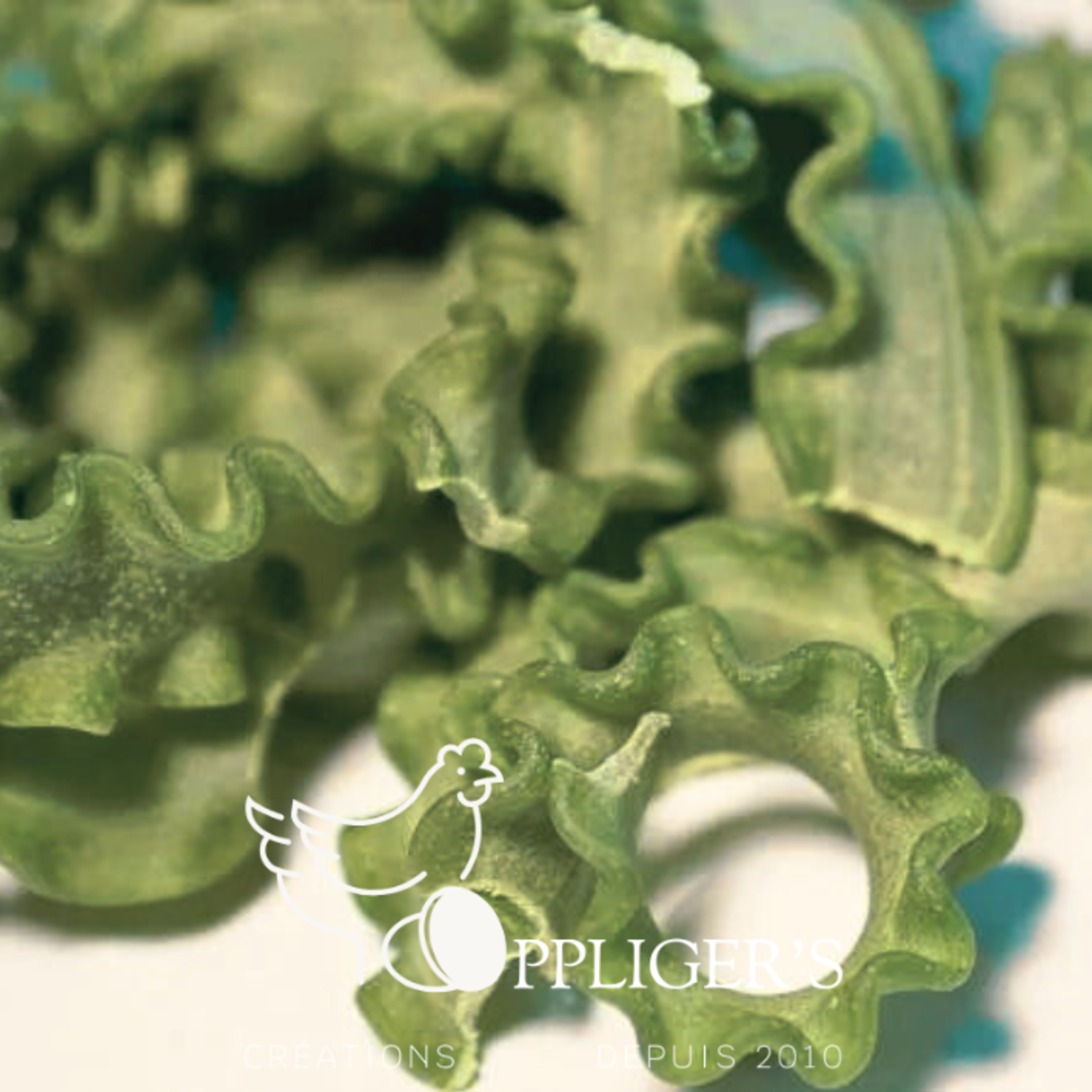 Oppliger’s pâtes Pâte maison Oppliger ‘s Pâtes Nouille frisée épinard
