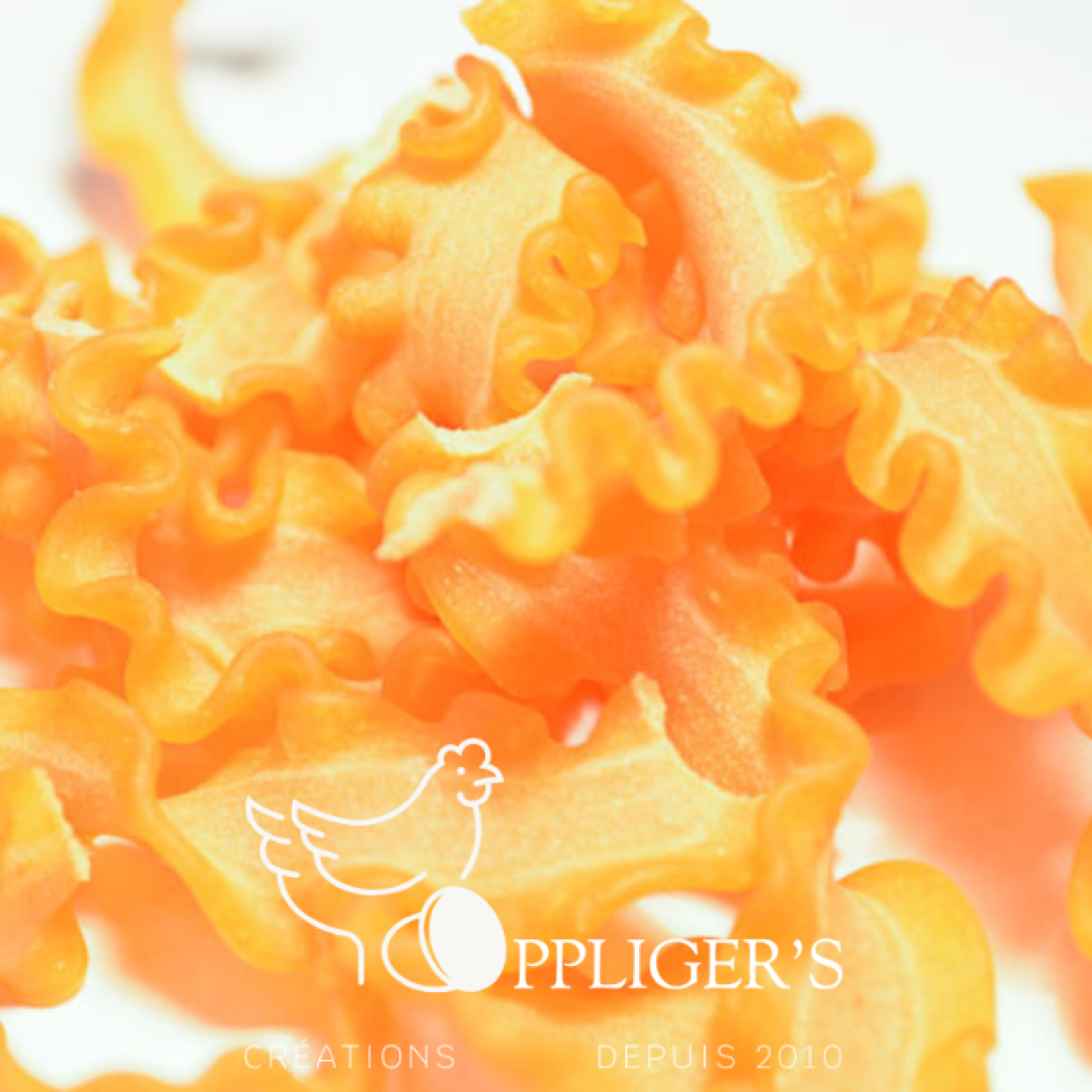 Oppliger’s pâtes Pâte maison Oppliger ‘s Pâtes Nouille frisée nature