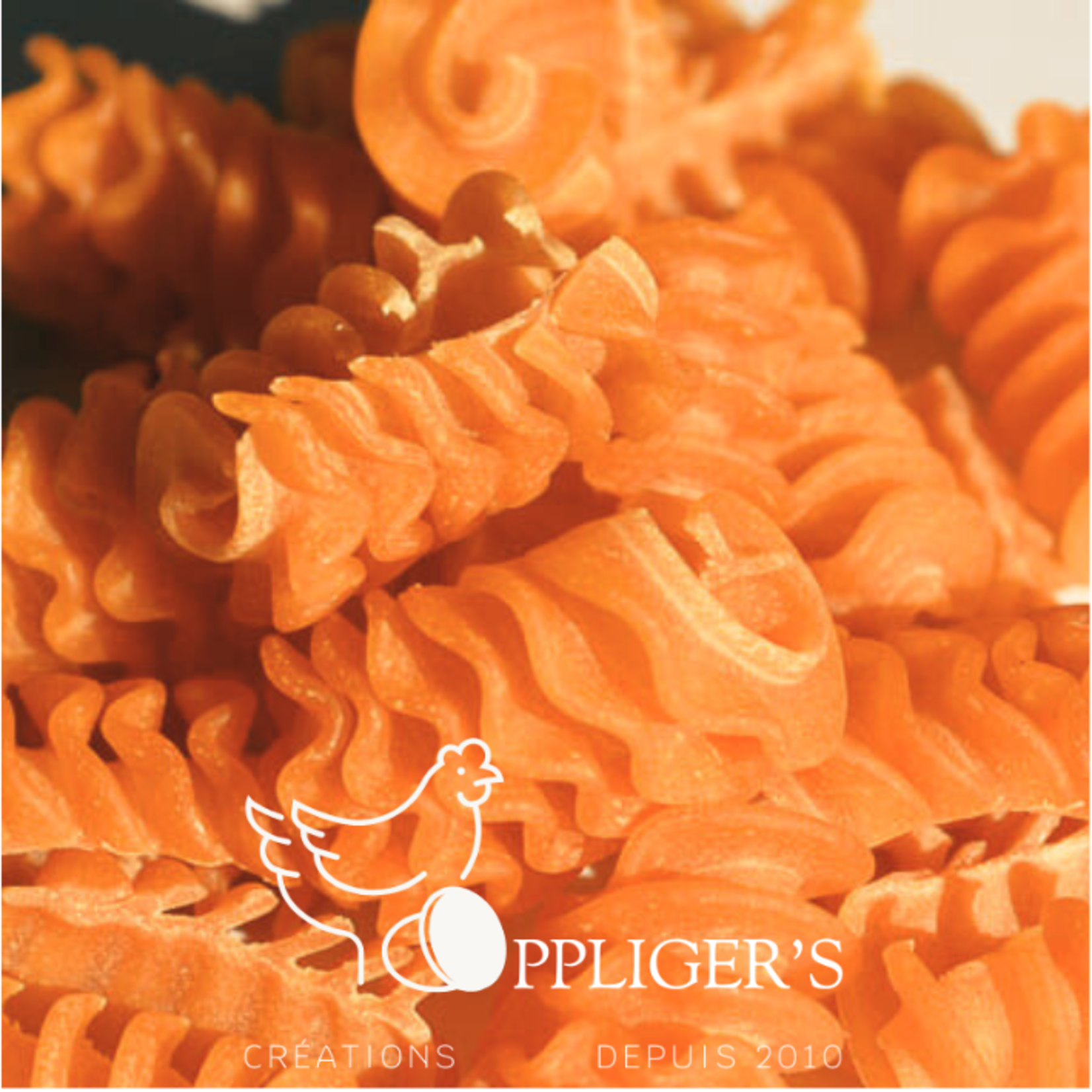 Oppliger’s pâtes Pâte maison Oppliger ‘s Pâtes Petit lampion tomate