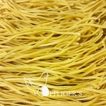 Oppliger’s pâtes Oppliger ‘s Pâtes Spaghetti nature