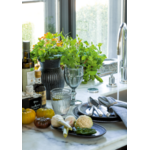 Art de la table / Cuisine
