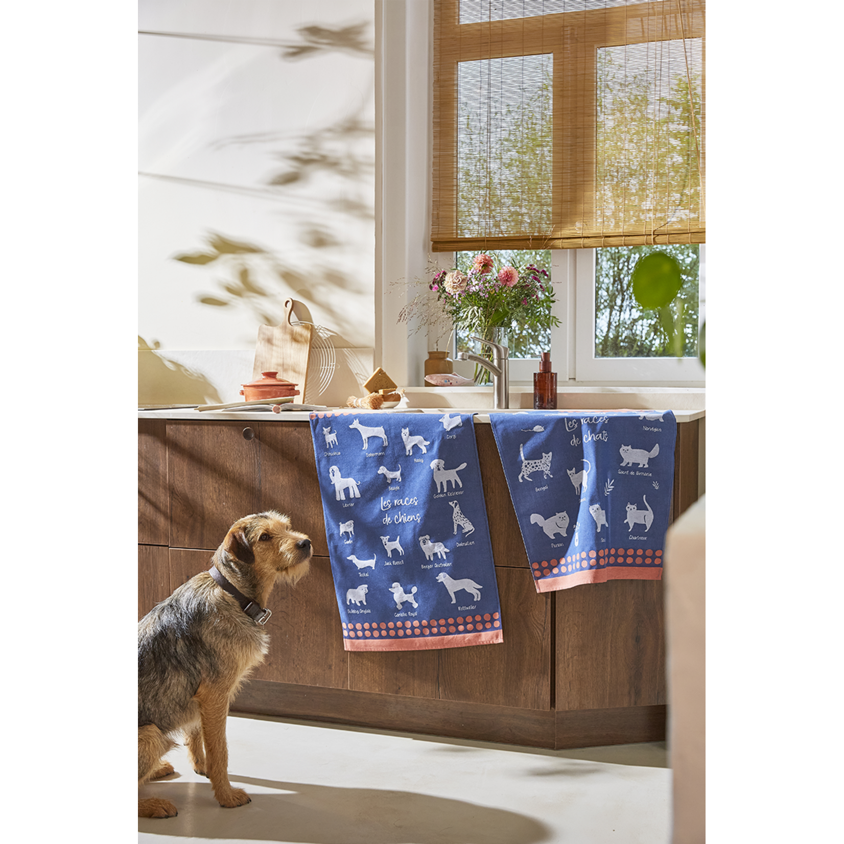 Coucke Linge jacquard RACES DE CHIEN 50 x 75 cm