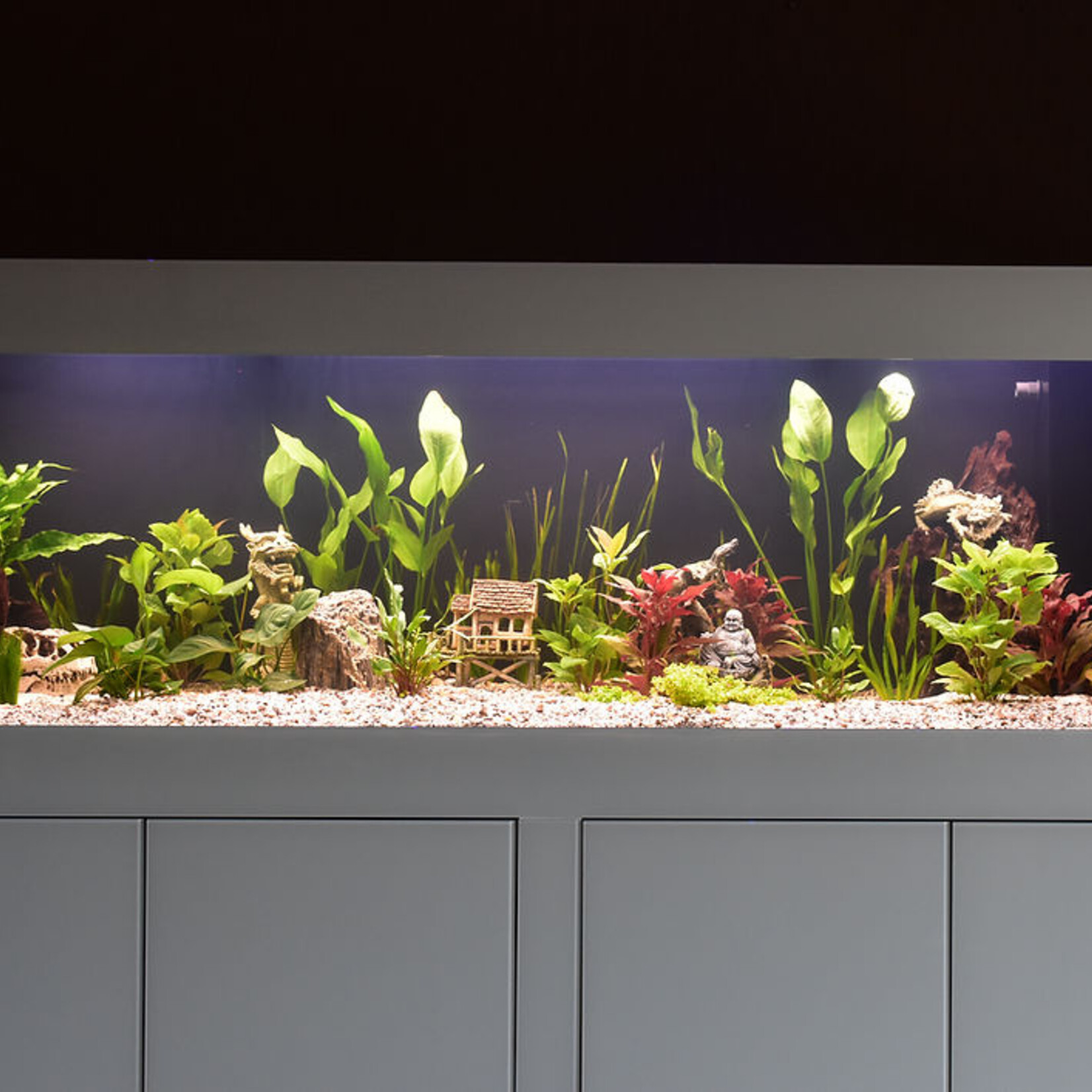 Aquatic Plant Solutions Aquatic Plant Solution All In One Plantenvoeding