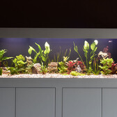 Aquatic Plant Solution All In One Plantenvoeding