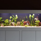 Aquatic Plant Solutions Aquatic Plant Solution All In One Plantenvoeding