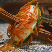 Orange Shrimp