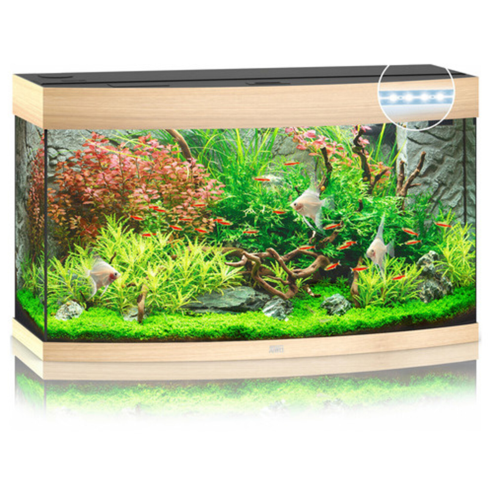 Juwel Juwel Vision Aquarium