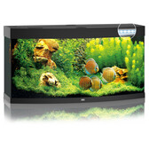 Juwel Juwel Vision Aquarium