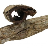 Eigen merk Cattapa hout
