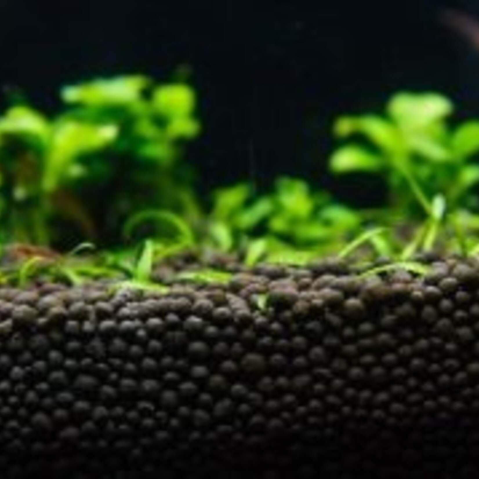 Colombo Flora Base Pro Grof Zwart