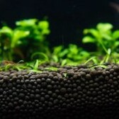 Colombo Flora Base Pro Grof Zwart