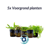 Voorgrond planten pakket