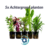 Achtergrond planten pakket