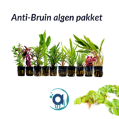 Anti algen planten pakket