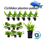 Cichliden planten pakket