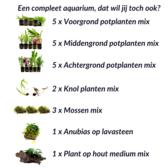 All-In planten pakket