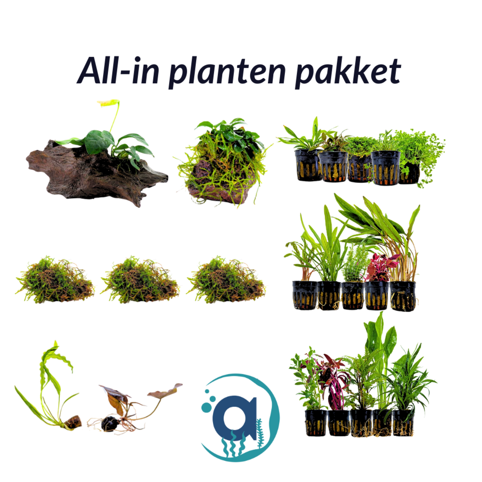 All-In planten pakket
