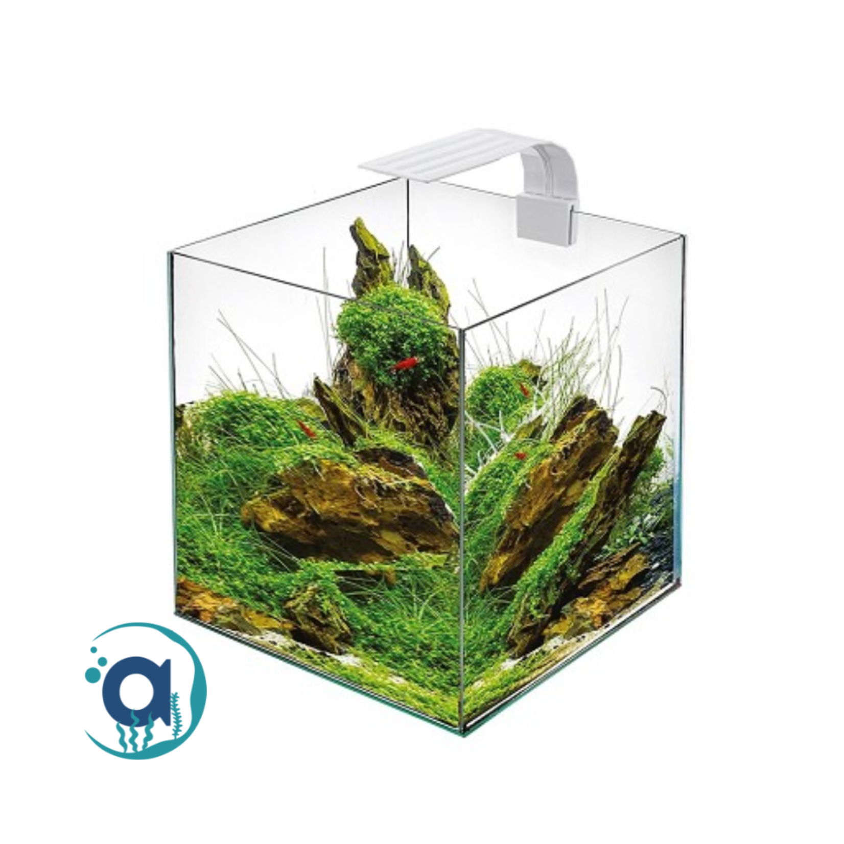 Cube tank 30