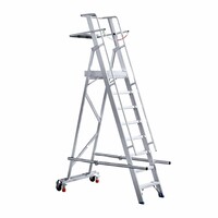 Eurostairs Professionelle mobile Lagerleiter 8 Stufen