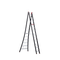 Altrex Nevada 2-teilige Reformleiter NZR 2063 2 x 12