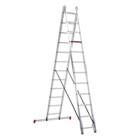 Altrex Rundum 2-teilige Reformleiter AR 2060 2 x 12