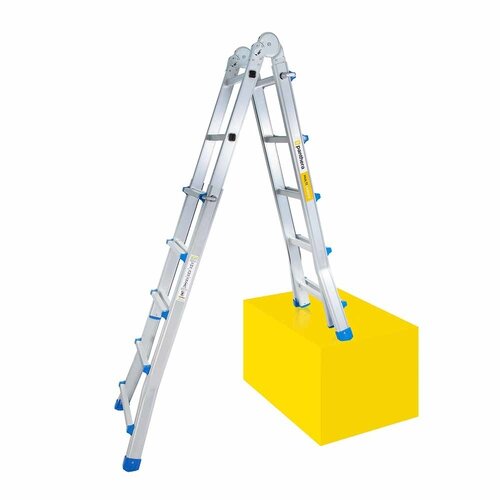 Panthera Panthera Multiladder 4x6