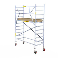 Panthera Panthera 90x185 Rollgerüst 4,2m Arbeitshöhe einfaches Frontgeländer