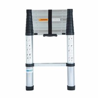 Eurostairs Teleskopleiter Flex 2,90 Meter mit Soft Close