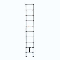Eurostairs Teleskopleiter Flex 2,90 Meter mit Soft Close