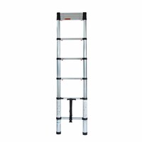 Eurostairs Flex-Teleskopleiter 2,60 m mit Soft Close