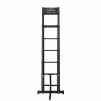Panthera Teleskopleiter schwarz 3,8 Meter