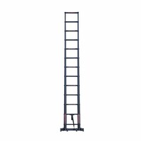 Panthera Teleskopleiter schwarz 3,2 Meter