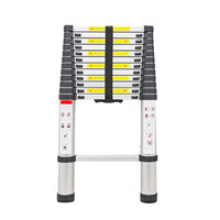 Teleskopleiter 2,0 Meter