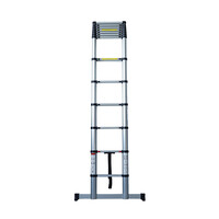 Teleskopleiter 4,8 Meter