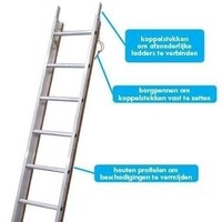 Solide Dachleiter 3m 1x 12 Sprossen