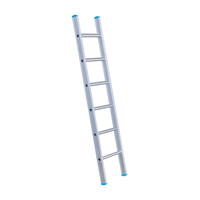 Eurostairs Eurostairs Leiter einfach gerade 1 x 6 Sprossen