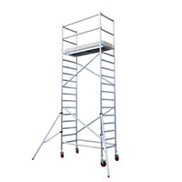 Euroscaffold Basis-Rollgerüst mit Vario-Frontgeländer 75x190x6,2m Arbeitshöhe
