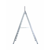Eurostairs Eurotreppe Doppeltreppe professionell 12 Stufen